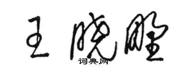駱恆光王曉野草書個性簽名怎么寫