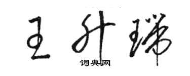 駱恆光王升瑞草書個性簽名怎么寫