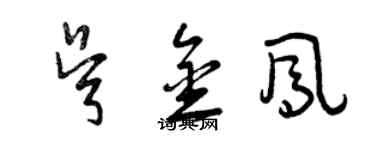 曾慶福吳金鳳草書個性簽名怎么寫