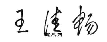 駱恆光王佳暢草書個性簽名怎么寫