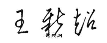 駱恆光王新超草書個性簽名怎么寫