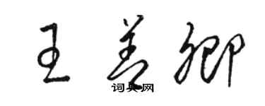 駱恆光王善卿草書個性簽名怎么寫