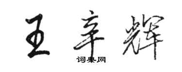 駱恆光王辛輝行書個性簽名怎么寫