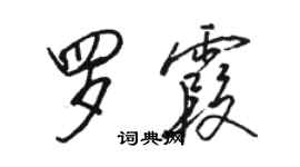 駱恆光羅霞行書個性簽名怎么寫