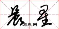 朱錫榮晨星草書怎么寫