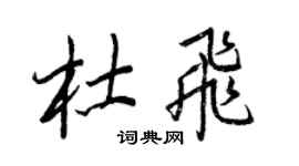 王正良杜飛行書個性簽名怎么寫