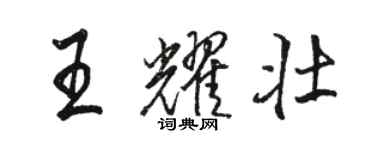 駱恆光王耀壯行書個性簽名怎么寫