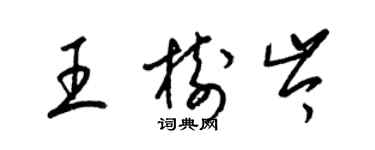 梁錦英王樹岑草書個性簽名怎么寫