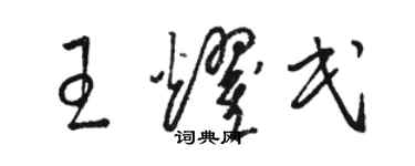 駱恆光王耀民草書個性簽名怎么寫