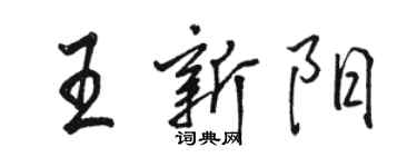 駱恆光王新陽行書個性簽名怎么寫