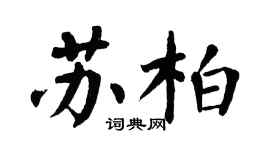 翁闓運蘇柏楷書個性簽名怎么寫