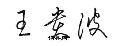 駱恆光王貴波草書個性簽名怎么寫