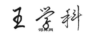 駱恆光王學科行書個性簽名怎么寫