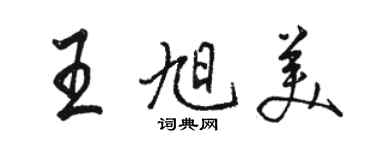 駱恆光王旭美行書個性簽名怎么寫