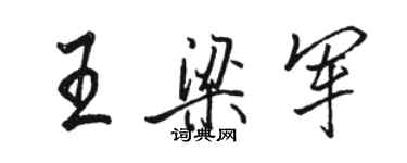 駱恆光王梁軍行書個性簽名怎么寫