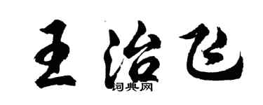 胡問遂王治飛行書個性簽名怎么寫