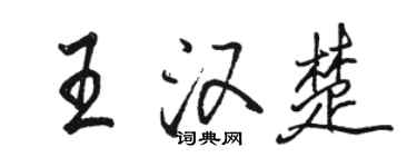 駱恆光王漢楚行書個性簽名怎么寫