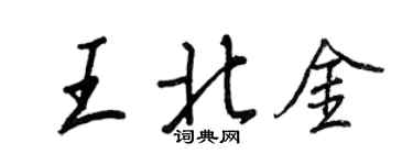 王正良王北金行書個性簽名怎么寫