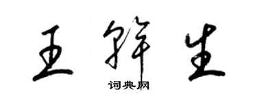 梁錦英王乾生草書個性簽名怎么寫