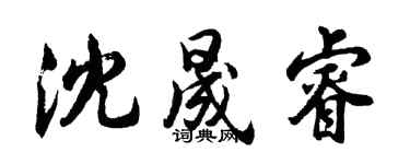 胡問遂沈晟睿行書個性簽名怎么寫