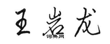 駱恆光王岩龍行書個性簽名怎么寫