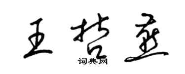 梁錦英王哲燕草書個性簽名怎么寫