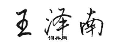 駱恆光王澤南行書個性簽名怎么寫