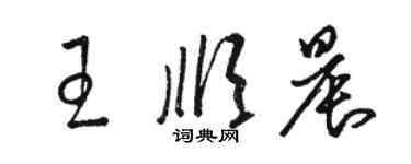 駱恆光王順晨草書個性簽名怎么寫