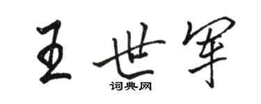 駱恆光王世軍行書個性簽名怎么寫