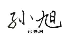 駱恆光孫旭行書個性簽名怎么寫