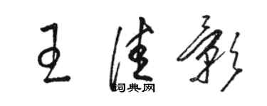 駱恆光王佳影草書個性簽名怎么寫