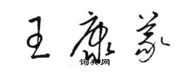 駱恆光王康義草書個性簽名怎么寫