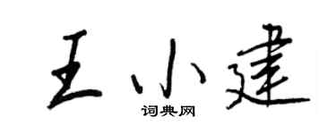 王正良王小建行書個性簽名怎么寫
