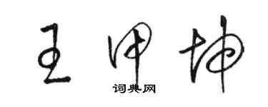 駱恆光王甲坤草書個性簽名怎么寫