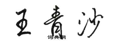 駱恆光王青沙行書個性簽名怎么寫