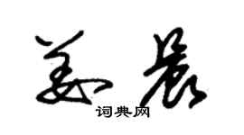 朱錫榮姜晨草書個性簽名怎么寫