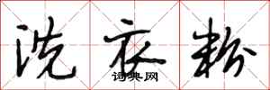 段相林洗衣粉行書怎么寫
