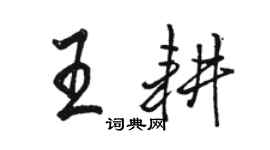 駱恆光王耕行書個性簽名怎么寫