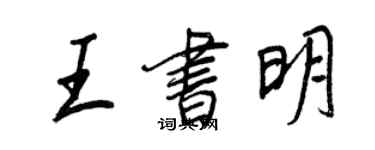 王正良王書明行書個性簽名怎么寫