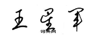 梁錦英王星軍草書個性簽名怎么寫