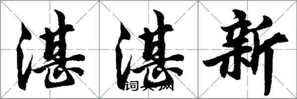 胡問遂湛湛新行書怎么寫