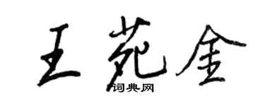 王正良王苑金行書個性簽名怎么寫