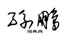 朱錫榮孫鵬草書個性簽名怎么寫