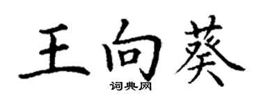 丁謙王向葵楷書個性簽名怎么寫