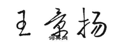 駱恆光王景揚草書個性簽名怎么寫