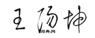駱恆光王陽坤草書個性簽名怎么寫