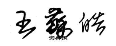 朱錫榮王蘇皓草書個性簽名怎么寫