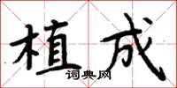周炳元植成楷書怎么寫