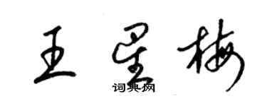 梁錦英王星梅草書個性簽名怎么寫