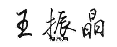 駱恆光王振晶行書個性簽名怎么寫